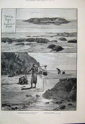 Original Old Antique Print 1887 Turtle Eggs Diamond Island River Bassein 19th