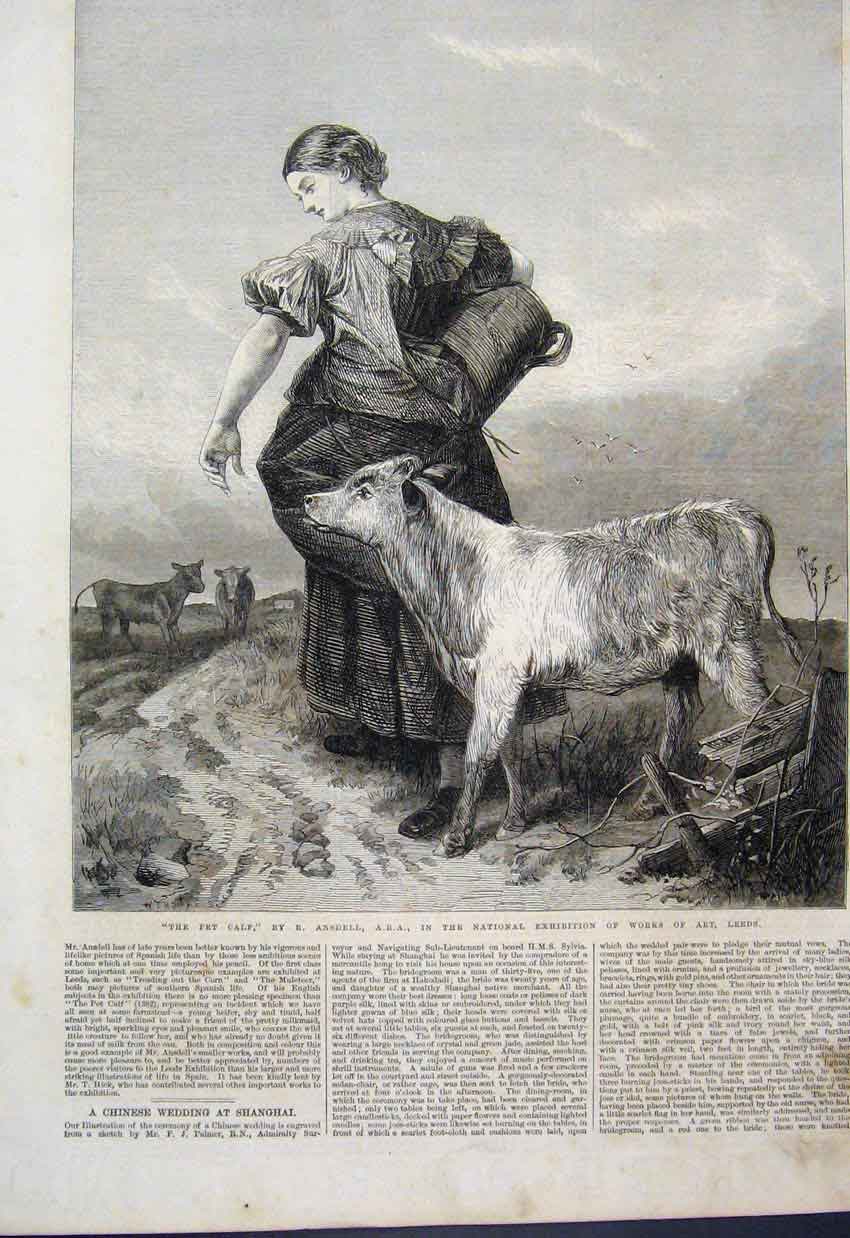 Original Old Antique Print 1868 Woman Pet Calf Country Scene 19th