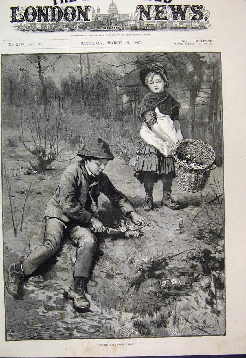 Original Old Antique Print 1887 Children Gathering Primroses Country Scene 19th