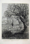 Original Old Antique Print 1880 Autumn Leaves Man Bridge Country Scene 19th