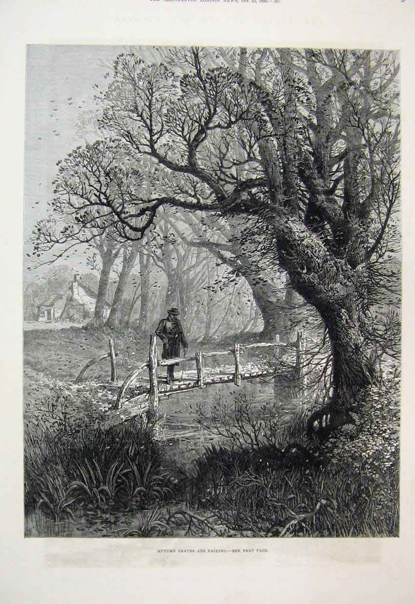 Original Old Antique Print 1880 Autumn Leaves Man Bridge Country Scene 19th
