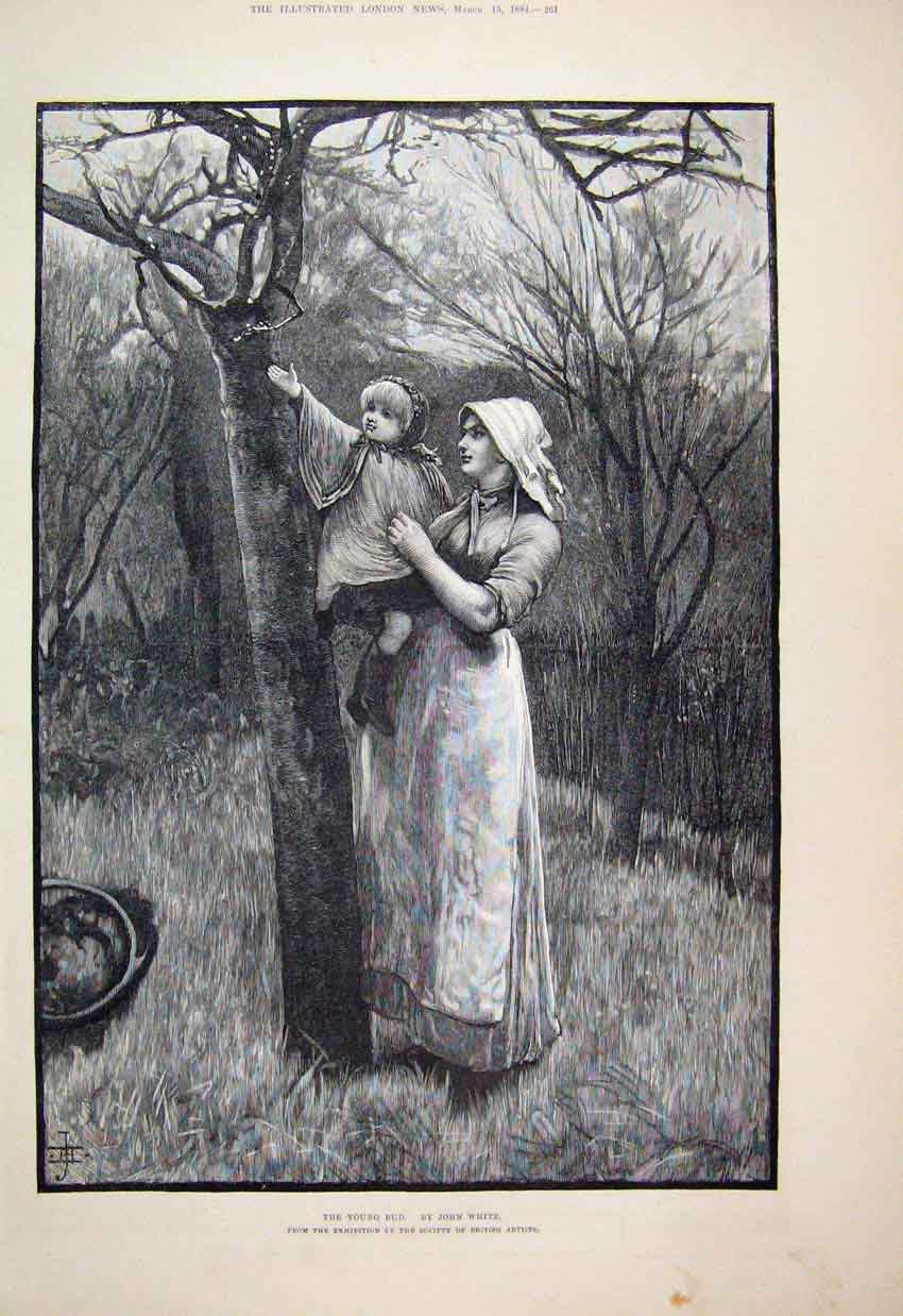 Original Old Antique Print 1884 Woman Child Country Scene Looking Bud Trees