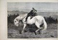 Original Old Antique Print 1873 Equo Ne Credite Teucri Horse Children Fine Art