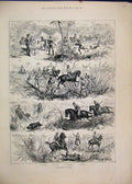 Original Old Antique Print 1884 Pig Sticking India Horses Spear 19th