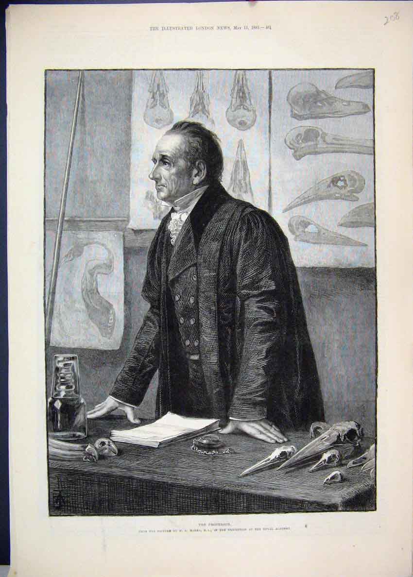 Original Old Antique Print 1883 Professor Bones Marks Royal Academy Art 19th