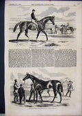 Original Old Antique Print 1858 Horse Fitzroland Governess Thousand Stakes 19th