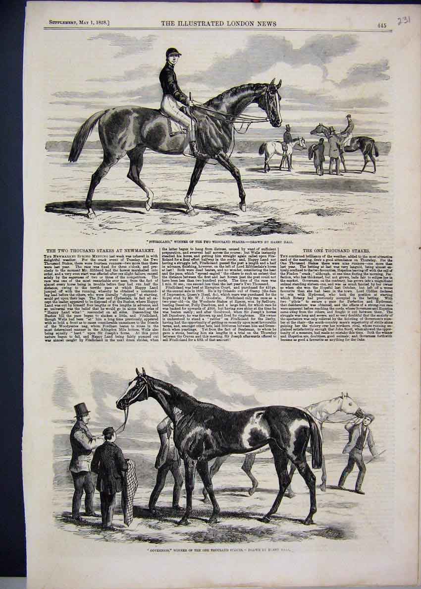 Original Old Antique Print 1858 Horse Fitzroland Governess Thousand Stakes 19th