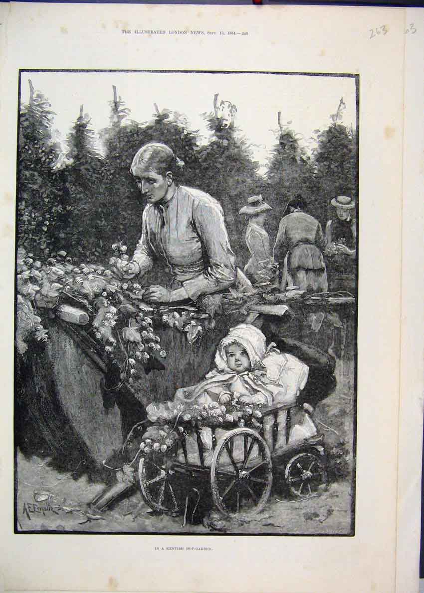 Original Old Antique Print 1884 Mother Baby Kentish Hop Garden Fine Art 19th