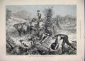 Original Old Antique Print *3502 1881 American Husbandry Pumpkins Husking Maize