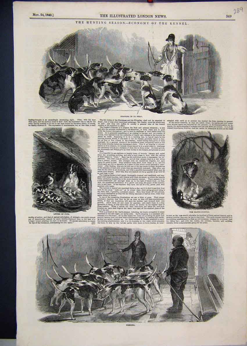 Original Old Antique Print 1849 Hunting Season Feeding Dogs Puppies Victorian