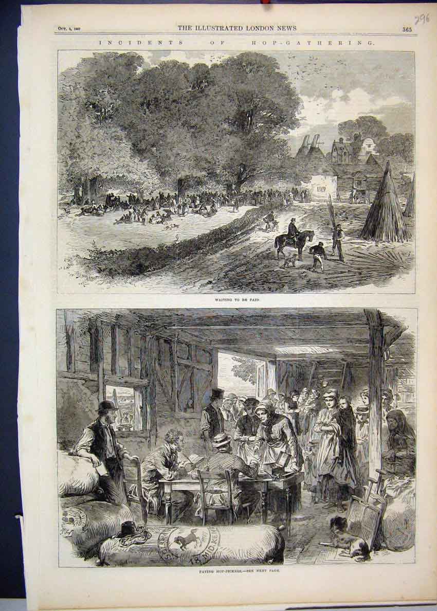 Original Old Antique Print 1867 Hop Gathering Paying Pickers Dog Horse Victorian