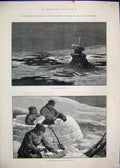 Old Antique Print 1881 American Franklin Boat Place Erebus Bay Snow House 19th