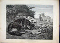 Original Old Antique Print 1888 Little Girl Sleeping Dog Lambs Country Scene