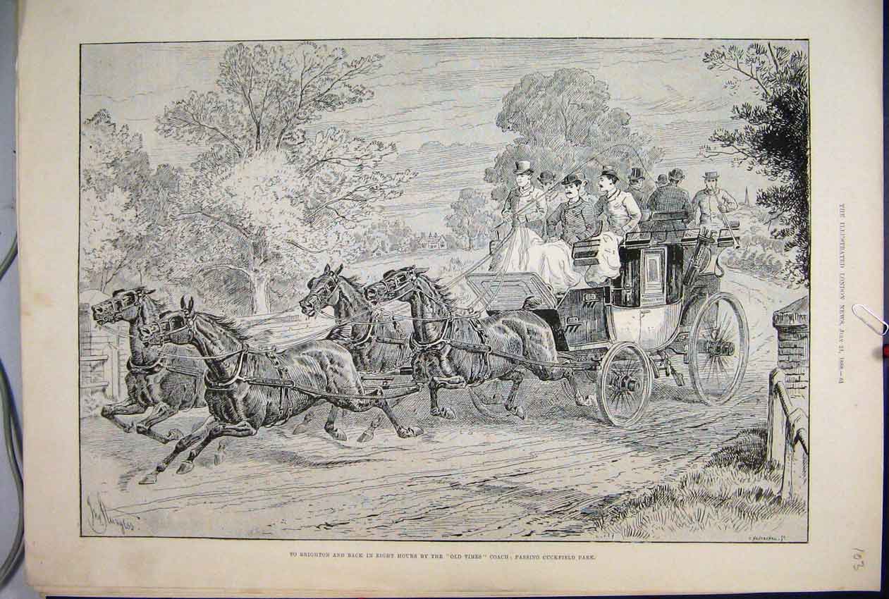 Original Old Antique Print 1888 Brighton Times Coach Chuckfield Park Horse 19th