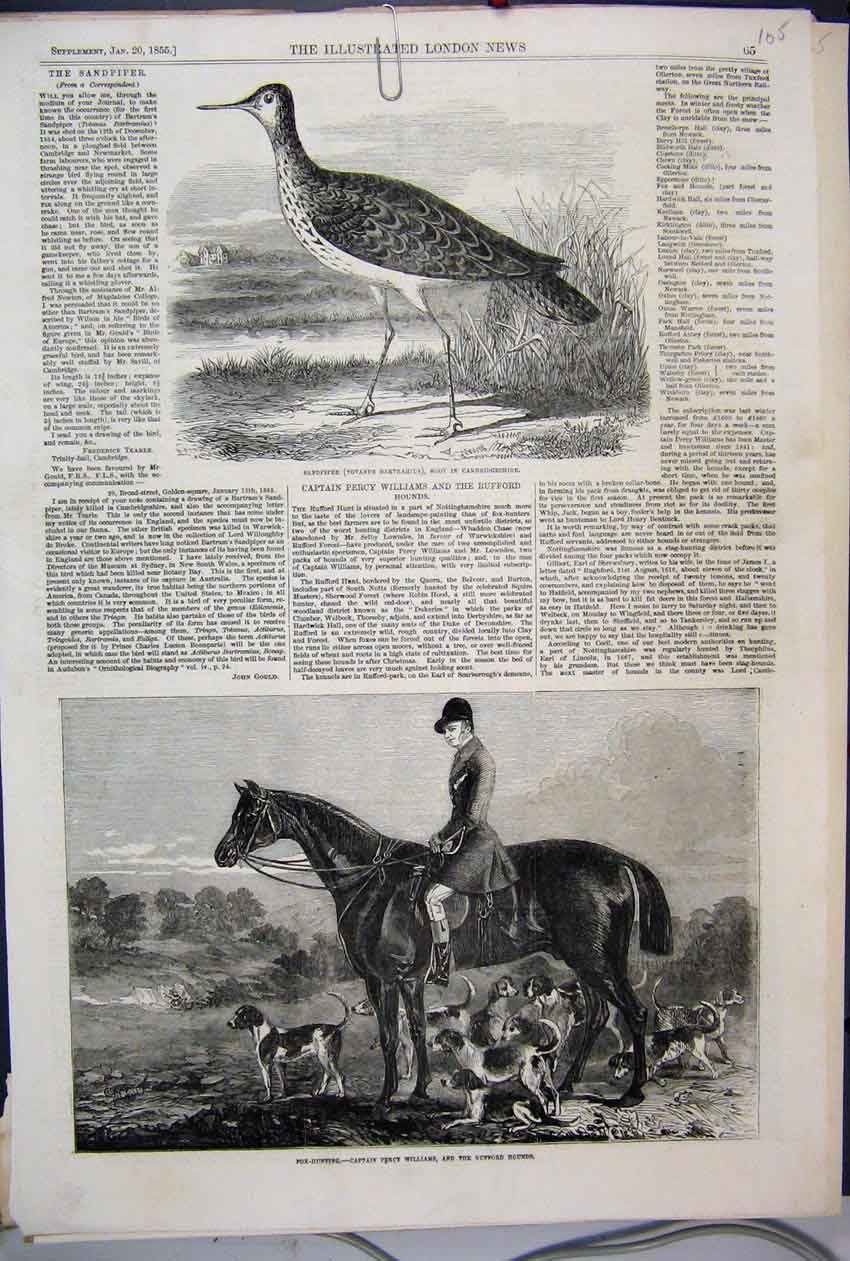 Old Antique Print 1855 Fox Hunting Percy Williams Rufford Hound Sandpiper 19th