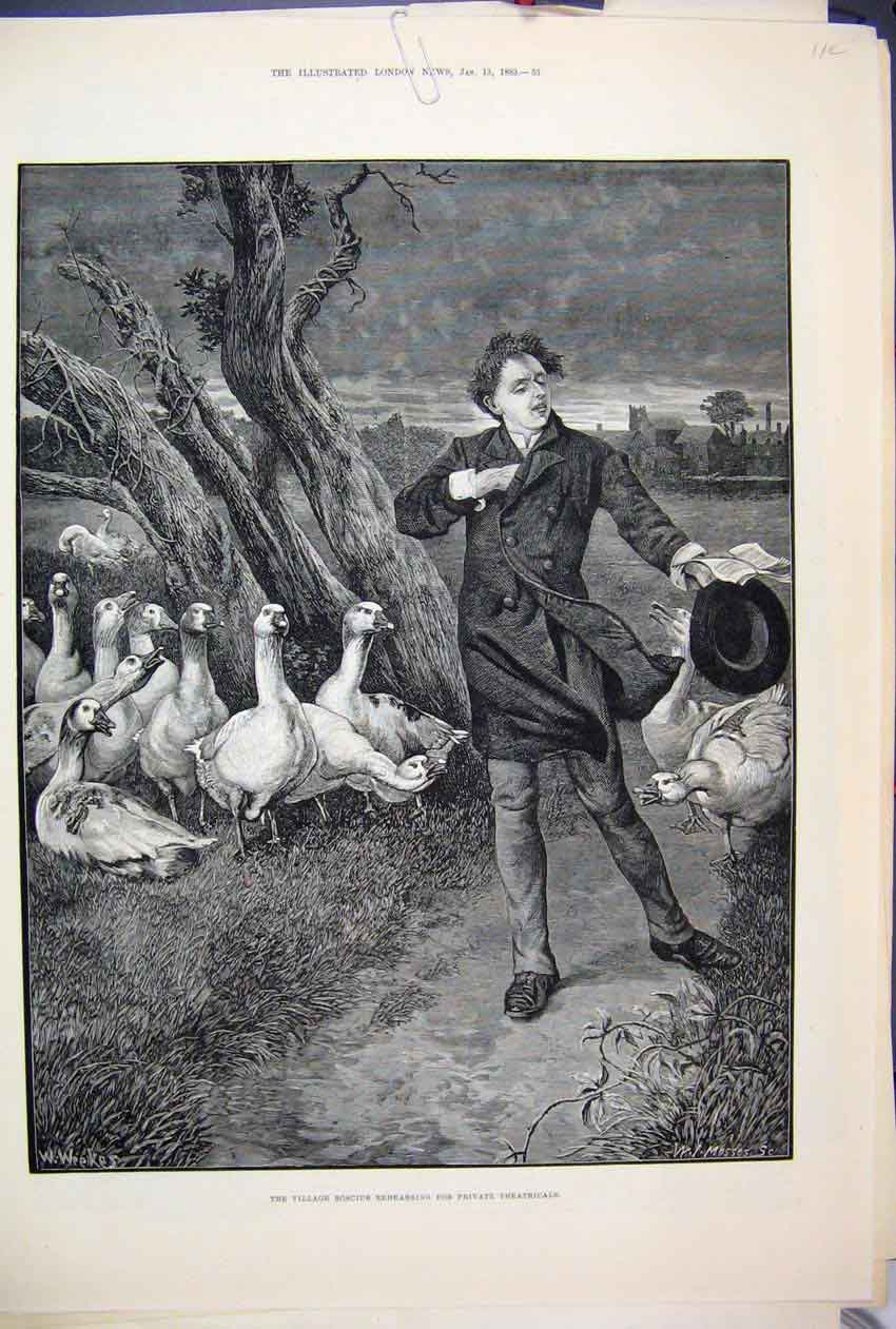Old Antique Print 1883 Village Roscius Private Theatricals Geese Fine Art 19th
