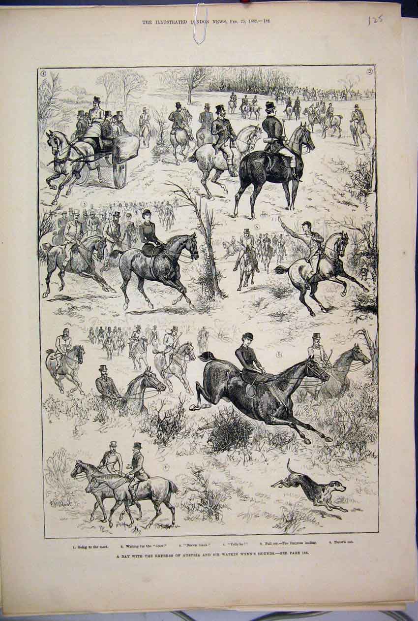 Original Old Antique Print 1882 Empress Austria Sir Watkin Wynn Hounds Victorian