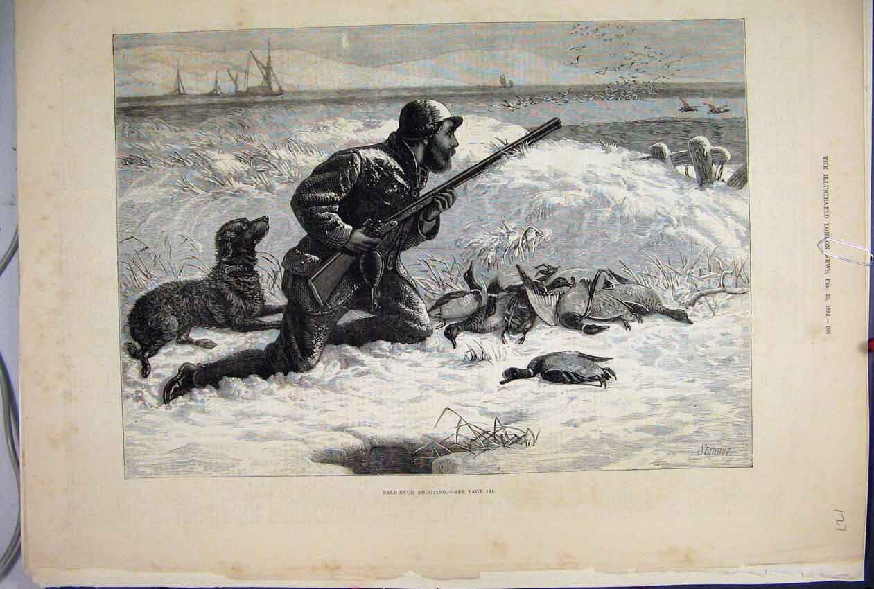 Original Old Antique Print 1882 Wild Duck Shooting Snow Dog Sh 19th