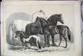 Old Antique Print 1869 Royal Agricultural Society Manchester Prize Horse 19th