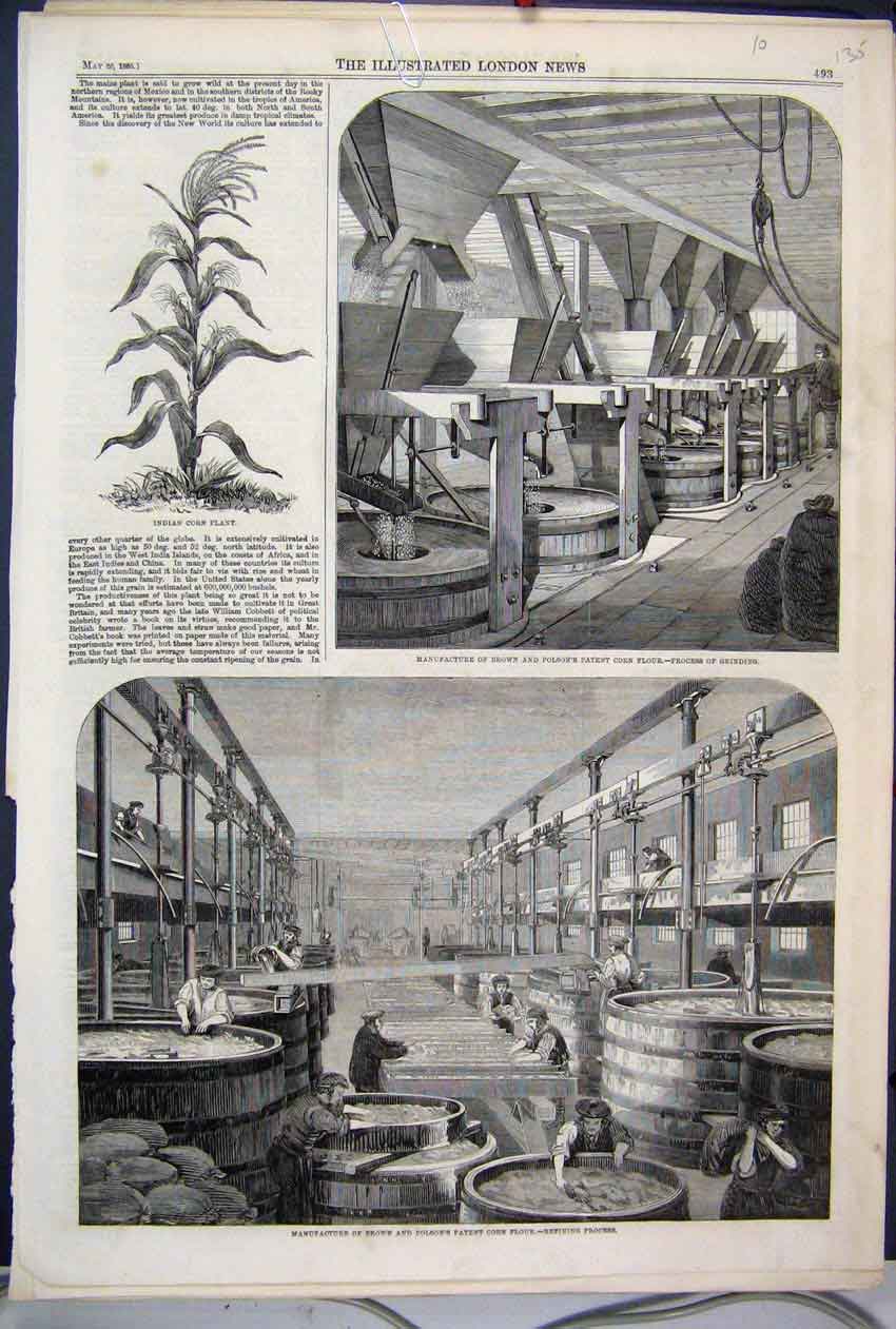 Original Old Antique Print 1860 Manufacture Brown Polson Corn Flour Refining