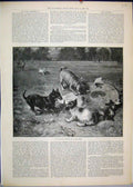 Original Old Antique Print 1889 Dogs Playing Children Country Park Victorian