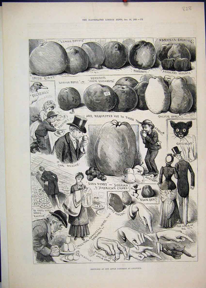 Original Old Antique Print 1883 Apple Congress Chiswick Pippins Pomeroy 19th
