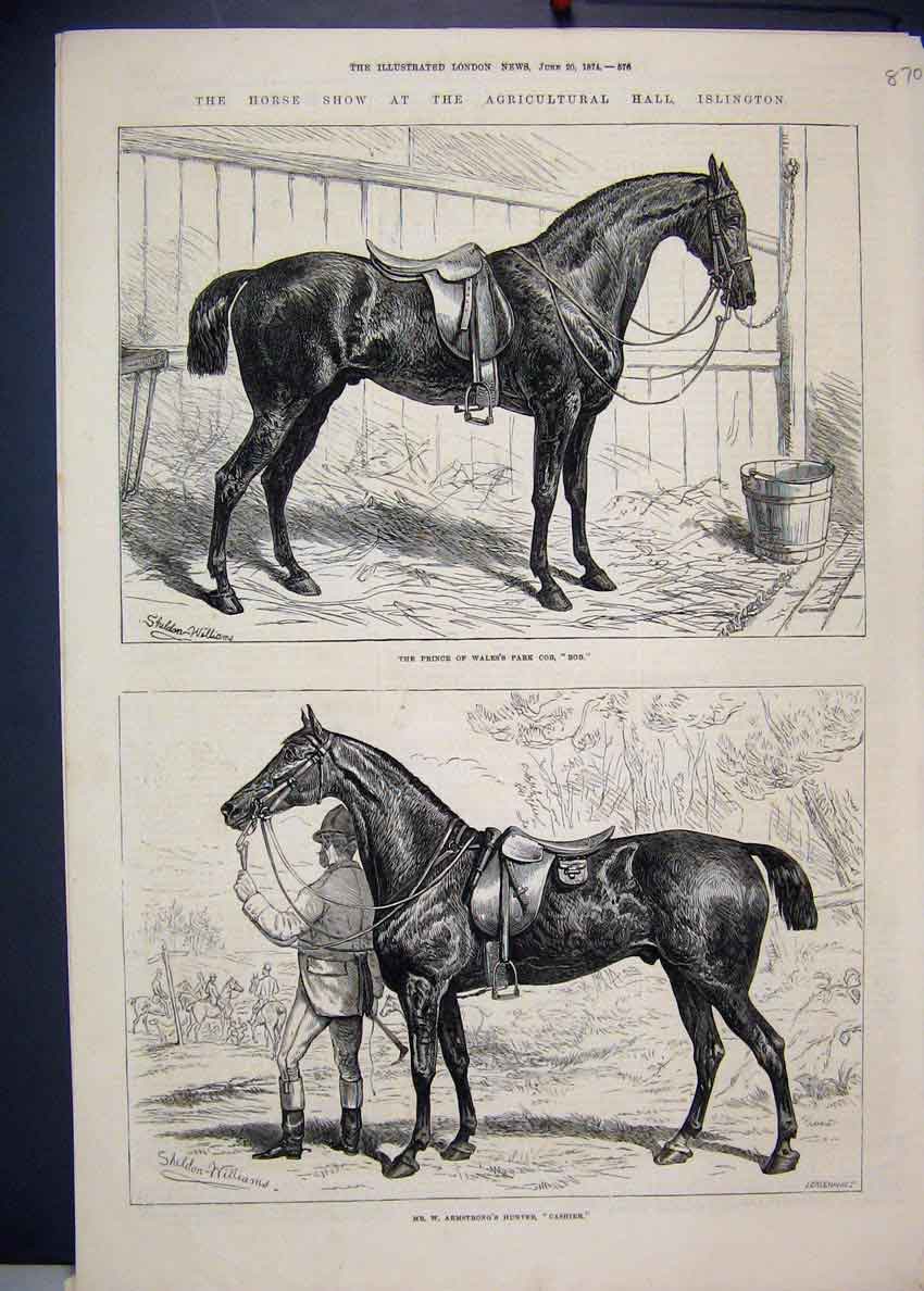 Old Antique Print 1874 Horse Islington Prince Wales Bob Cashier Armstrong 19th