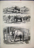 Original Old Antique Print 1885 Burmah Elephants Work Timber Sacred White Sketch