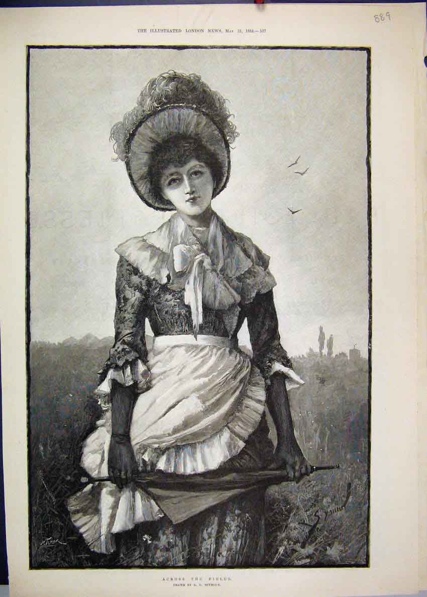Original Old Antique Print 1884 Woman Field Umbrella Seymour Beautiful Fine Art