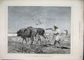 Original Old Antique Print 1882 Egypt Ploughing Cattle Field Men Working Sketch