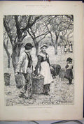 Old Antique Print 1886 Agricultural Scene November Apple Harvest Children 19th