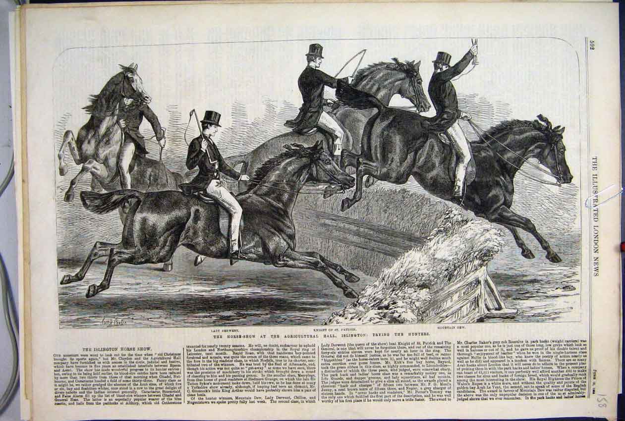 Original Old Antique Print 1868 Horse Show Hunters Agricultural Show Islington