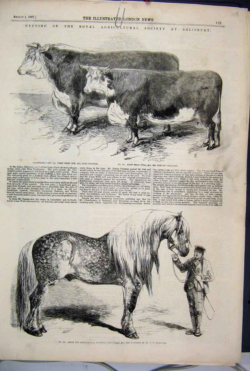 Original Old Antique Print 1857 Royal Agricultural Salisbury Horse Bull Cow 19th