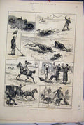 Original Old Antique Print 1882 Coursing Matches Dogs Horse Carriage Hare 19th