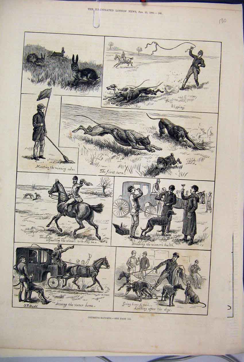 Original Old Antique Print 1882 Coursing Matches Dogs Horse Carriage Hare 19th