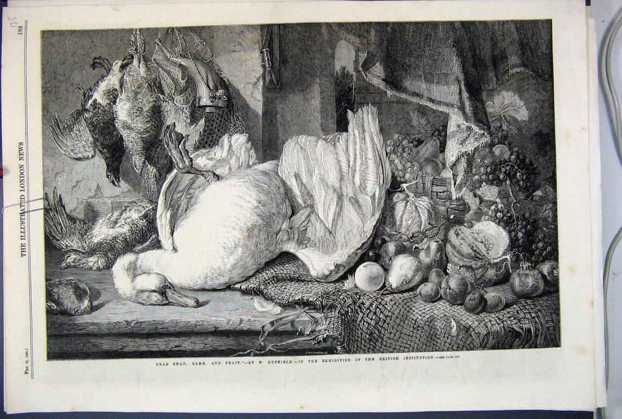 Old Antique Print 1860 Dead Swan Game Fruit British Institute Exhibition 19th