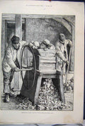 Original Old Antique Print 1886 Agricultural Scene January Cutting Swedes Winte