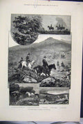 Original Old Antique Print 1882 Harrier Week Dartmoor Horse Mining Shaft 19th