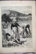 Original Old Antique Print 1886 Agricultural Scene August Reaping Binding Harves