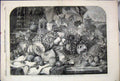 Original Old Antique Print 1859 Fruit Duffield British Institution Victorian