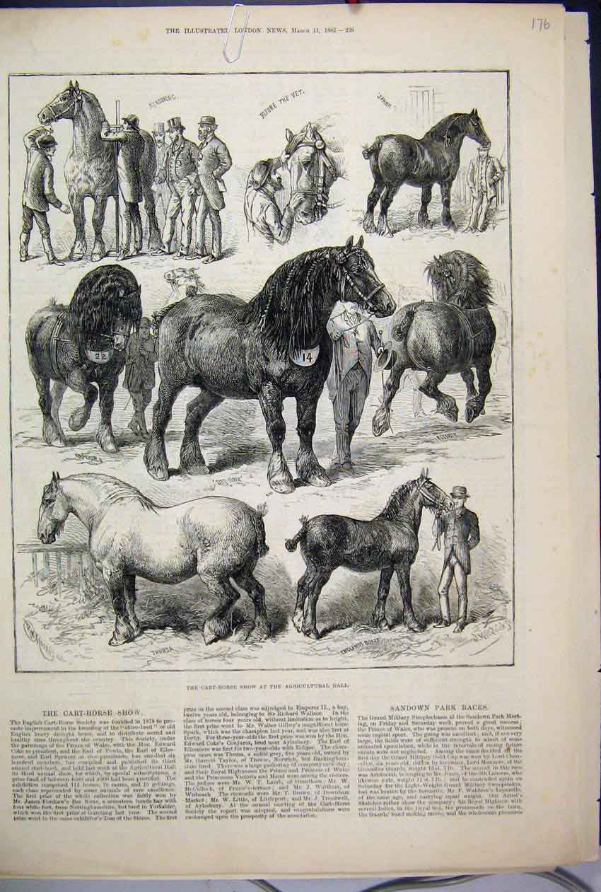 Original Old Antique Print 1882 Cart Horse Show Agricultural Hall Spark Thursa
