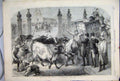 Original Old Antique Print 1865 Foreign Cattle Metropolitan Market Dog Victorian