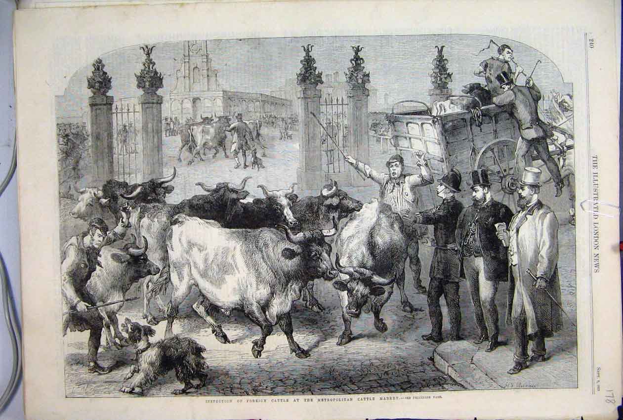 Original Old Antique Print 1865 Foreign Cattle Metropolitan Market Dog Victorian
