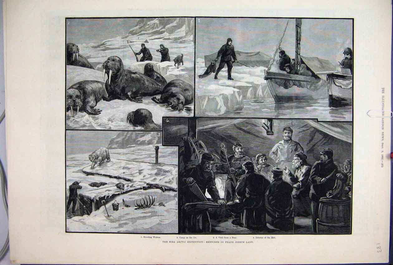 Old Antique Print 1882 Eira Artic Expedition Franz Joseph Land Walrus Ice 19th