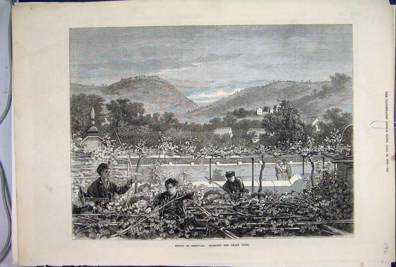 Original Old Antique Print 1873 Spring Portugal Trimming Grape Vines Mountains