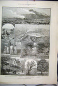 Old Antique Print 1888 Hawaii Sandwich Island Geese Volcano House Sketch 19th