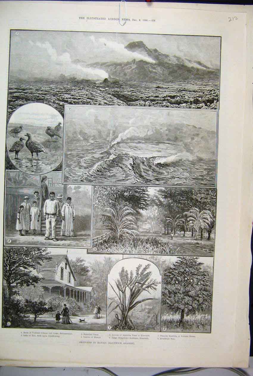 Old Antique Print 1888 Hawaii Sandwich Island Geese Volcano House Sketch 19th