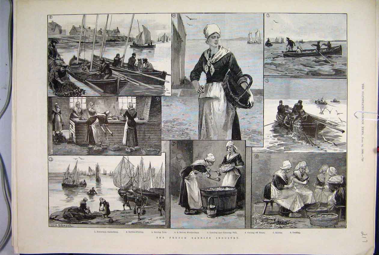Original Old Antique Print 1890 French Sardine Industry Fishermen Workwoman Nets