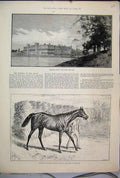Original Old Antique Print 1889 Welbeck Abbey Lake Donovan Derby Winner Portland