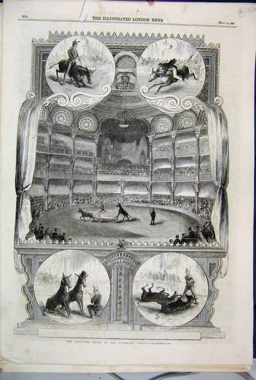 Original Old Antique Print 1858 Educated Mules Alhambra Palace Animals Victorian